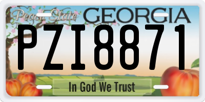 GA license plate PZI8871