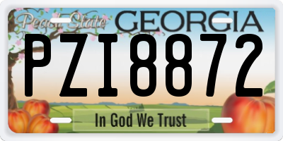 GA license plate PZI8872