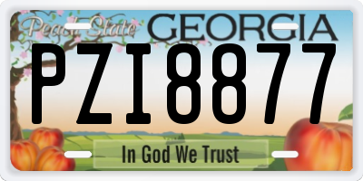 GA license plate PZI8877
