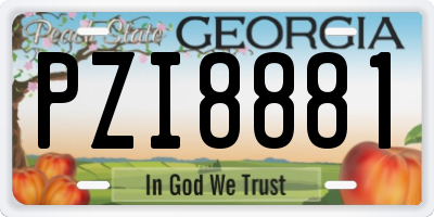 GA license plate PZI8881