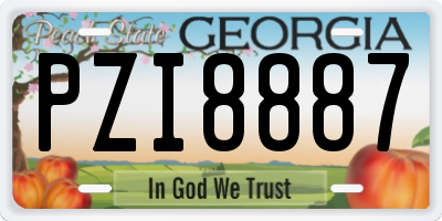 GA license plate PZI8887