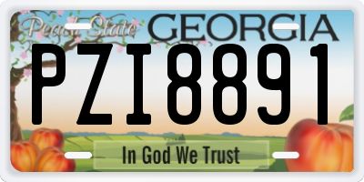 GA license plate PZI8891