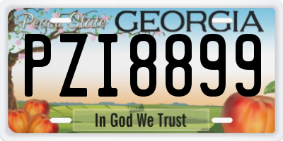GA license plate PZI8899