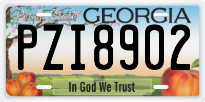 GA license plate PZI8902