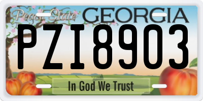 GA license plate PZI8903
