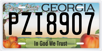 GA license plate PZI8907