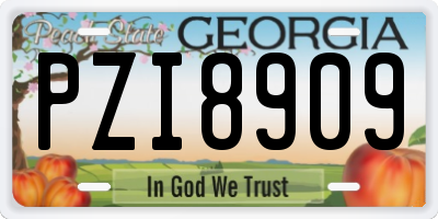 GA license plate PZI8909