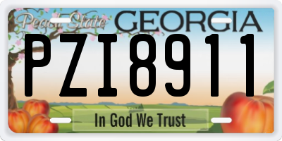 GA license plate PZI8911