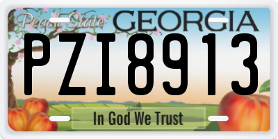 GA license plate PZI8913