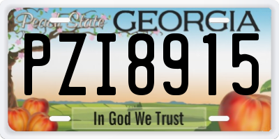 GA license plate PZI8915