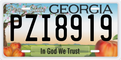 GA license plate PZI8919