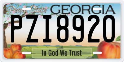 GA license plate PZI8920