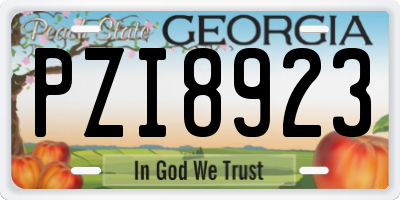 GA license plate PZI8923