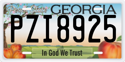 GA license plate PZI8925