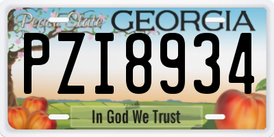 GA license plate PZI8934