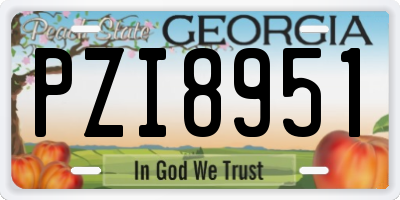 GA license plate PZI8951