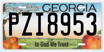 GA license plate PZI8953