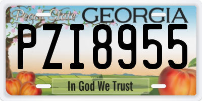 GA license plate PZI8955