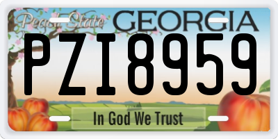 GA license plate PZI8959