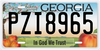 GA license plate PZI8965