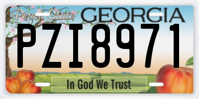 GA license plate PZI8971