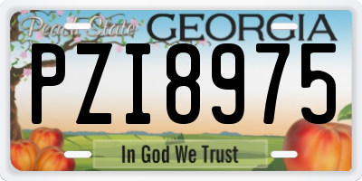 GA license plate PZI8975