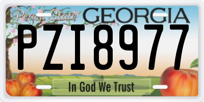 GA license plate PZI8977