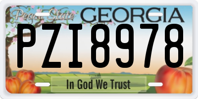 GA license plate PZI8978