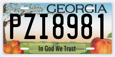GA license plate PZI8981
