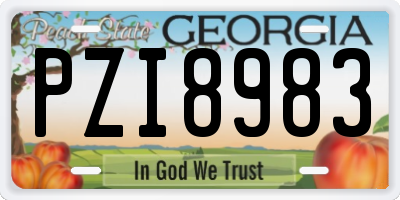 GA license plate PZI8983