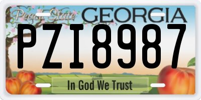 GA license plate PZI8987
