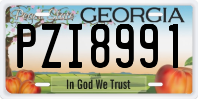GA license plate PZI8991