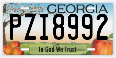 GA license plate PZI8992
