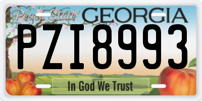 GA license plate PZI8993