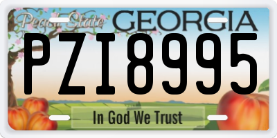 GA license plate PZI8995