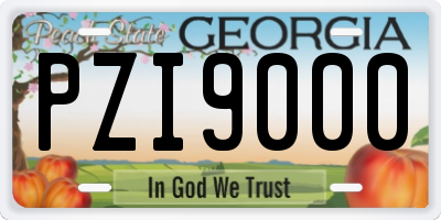 GA license plate PZI9000