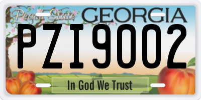 GA license plate PZI9002