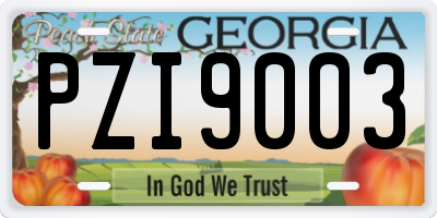 GA license plate PZI9003