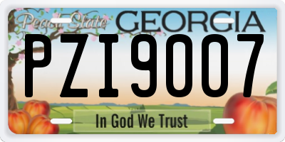 GA license plate PZI9007