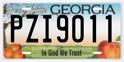 GA license plate PZI9011