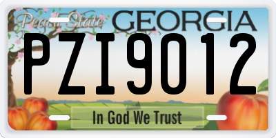 GA license plate PZI9012