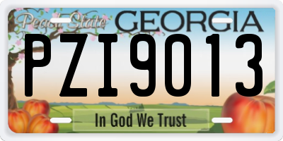 GA license plate PZI9013