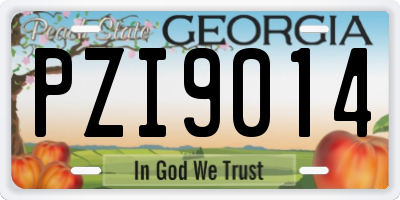 GA license plate PZI9014