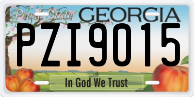 GA license plate PZI9015