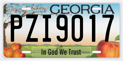 GA license plate PZI9017