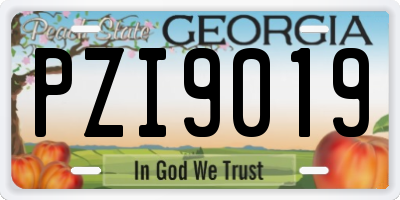 GA license plate PZI9019