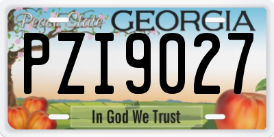 GA license plate PZI9027