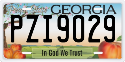 GA license plate PZI9029