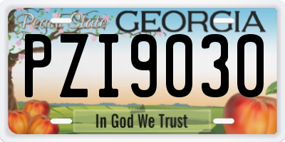 GA license plate PZI9030