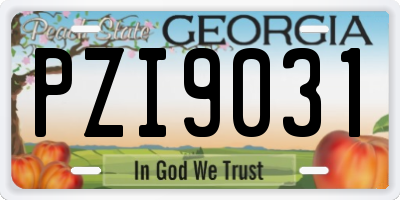 GA license plate PZI9031
